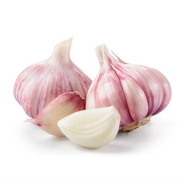 Fresh garlic, new crop