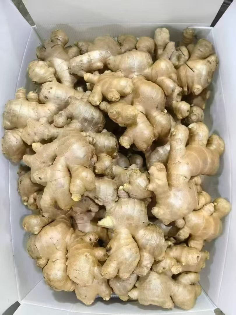 Fresh ginger root, unpeeled