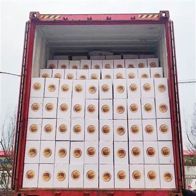 Export cartons loaded into a shipping container